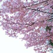 ヒメ日記 2026/05/04 19:31 投稿 マヒロ ラブコレクション
