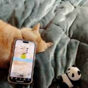 ヒメ日記 2025/02/11 21:31 投稿 メグミ ラブコレクション