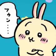 ヒメ日記 2025/04/09 17:46 投稿 メグミ ラブコレクション