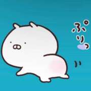 ヒメ日記 2025/04/13 16:16 投稿 メグミ ラブコレクション