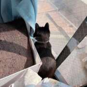 ヒメ日記 2025/04/15 10:46 投稿 メグミ ラブコレクション