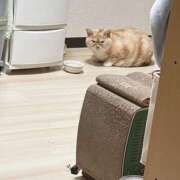 ヒメ日記 2025/05/04 22:31 投稿 メグミ ラブコレクション