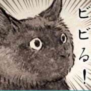 ヒメ日記 2025/05/14 16:46 投稿 メグミ ラブコレクション