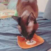 ヒメ日記 2025/10/24 09:01 投稿 メグミ ラブコレクション