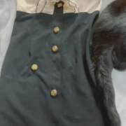 ヒメ日記 2025/11/19 09:01 投稿 メグミ ラブコレクション