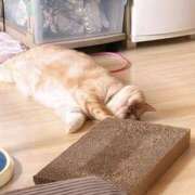 ヒメ日記 2025/11/24 09:01 投稿 メグミ ラブコレクション