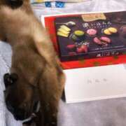 ヒメ日記 2026/01/17 09:01 投稿 メグミ ラブコレクション