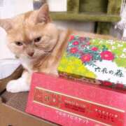 ヒメ日記 2026/02/10 09:01 投稿 メグミ ラブコレクション