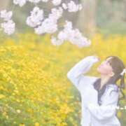 ヒメ日記 2025/03/21 16:19 投稿 こはく BEYOND SPA 五反田店