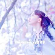 ヒメ日記 2025/04/12 14:29 投稿 こはく BEYOND SPA 五反田店