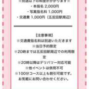 ヒメ日記 2024/12/03 23:48 投稿 ゆき 五反田人妻城