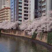 ヒメ日記 2025/04/10 10:40 投稿 わかこ 熟女の風俗最終章 蒲田店