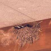 ヒメ日記 2025/05/03 10:50 投稿 わかこ 熟女の風俗最終章 蒲田店