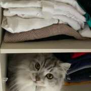 ヒメ日記 2025/05/22 10:50 投稿 わかこ 熟女の風俗最終章 蒲田店