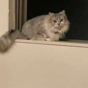 ヒメ日記 2025/05/23 01:25 投稿 わかこ 熟女の風俗最終章 蒲田店