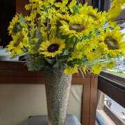 ヒメ日記 2025/07/20 01:01 投稿 わかこ 熟女の風俗最終章 蒲田店