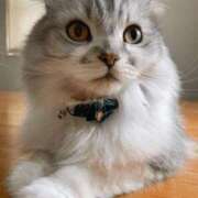 ヒメ日記 2025/08/22 21:30 投稿 わかこ 熟女の風俗最終章 蒲田店