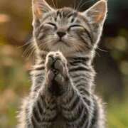 ヒメ日記 2025/10/29 00:50 投稿 わかこ 熟女の風俗最終章 蒲田店