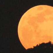 ヒメ日記 2025/11/06 00:30 投稿 わかこ 熟女の風俗最終章 蒲田店