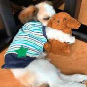 ヒメ日記 2025/11/22 17:00 投稿 わかこ 熟女の風俗最終章 蒲田店