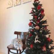 ヒメ日記 2025/12/25 07:58 投稿 わかこ 熟女の風俗最終章 蒲田店