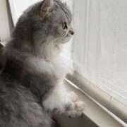 ヒメ日記 2026/01/11 16:30 投稿 わかこ 熟女の風俗最終章 蒲田店