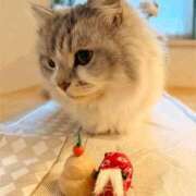 ヒメ日記 2026/01/14 21:51 投稿 わかこ 熟女の風俗最終章 蒲田店