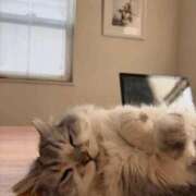 ヒメ日記 2026/01/15 22:36 投稿 わかこ 熟女の風俗最終章 蒲田店