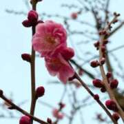 ヒメ日記 2026/01/29 18:20 投稿 わかこ 熟女の風俗最終章 蒲田店