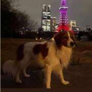 ヒメ日記 2026/03/12 01:20 投稿 わかこ 熟女の風俗最終章 蒲田店