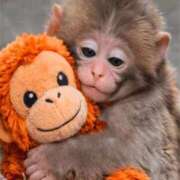 ヒメ日記 2026/04/05 12:01 投稿 わかこ 熟女の風俗最終章 蒲田店