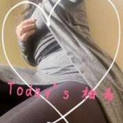 ヒメ日記 2024/12/12 13:40 投稿 守殿柚希 五十路マダム姫路店