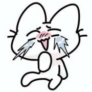 ヒメ日記 2024/12/19 09:06 投稿 守殿柚希 五十路マダム姫路店