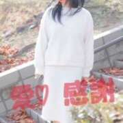 ヒメ日記 2025/01/15 02:06 投稿 守殿柚希 五十路マダム姫路店