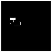 ヒメ日記 2025/03/14 11:46 投稿 守殿柚希 五十路マダム姫路店