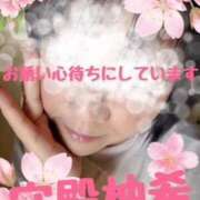 ヒメ日記 2025/03/21 10:46 投稿 守殿柚希 五十路マダム姫路店