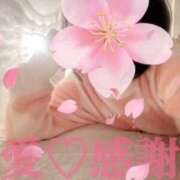 ヒメ日記 2025/04/04 16:12 投稿 守殿柚希 五十路マダム姫路店