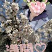 ヒメ日記 2025/04/06 16:06 投稿 守殿柚希 五十路マダム姫路店