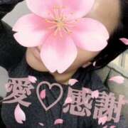 ヒメ日記 2025/04/09 12:50 投稿 守殿柚希 五十路マダム姫路店