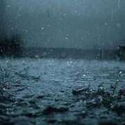 ヒメ日記 2025/04/10 18:38 投稿 守殿柚希 五十路マダム姫路店