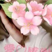 ヒメ日記 2025/04/12 09:34 投稿 守殿柚希 五十路マダム姫路店