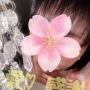 ヒメ日記 2025/04/25 19:28 投稿 守殿柚希 五十路マダム姫路店