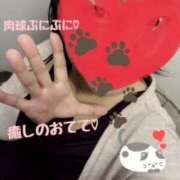 ヒメ日記 2025/04/28 10:12 投稿 守殿柚希 五十路マダム姫路店