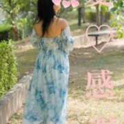 ヒメ日記 2025/05/19 02:22 投稿 守殿柚希 五十路マダム姫路店