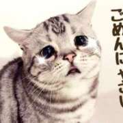 ヒメ日記 2025/06/05 10:44 投稿 守殿柚希 五十路マダム姫路店