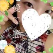 ヒメ日記 2025/06/07 02:36 投稿 守殿柚希 五十路マダム姫路店