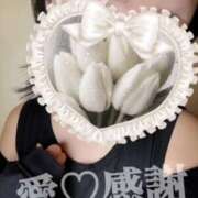 ヒメ日記 2025/06/11 18:08 投稿 守殿柚希 五十路マダム姫路店