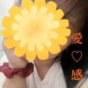 ヒメ日記 2025/06/26 17:36 投稿 守殿柚希 五十路マダム姫路店