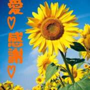 ヒメ日記 2025/07/28 12:44 投稿 守殿柚希 五十路マダム姫路店