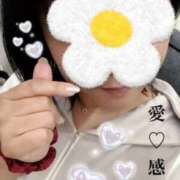 ヒメ日記 2025/08/02 09:00 投稿 守殿柚希 五十路マダム姫路店